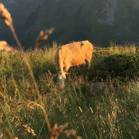 Freihaushof Ubytování v soukromí Mayrhofen