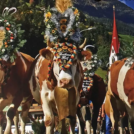 Freihaushof * مايرهوفن