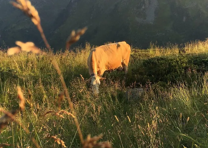 Freihaushof 홈스테이 메이른호픈